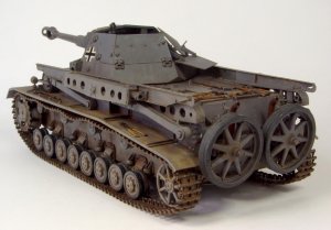 Heuschrecke IVb Grasshopper