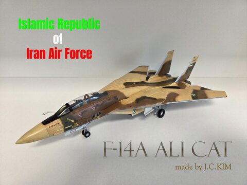 1/72 이란 이슬람 공화국 F-14A