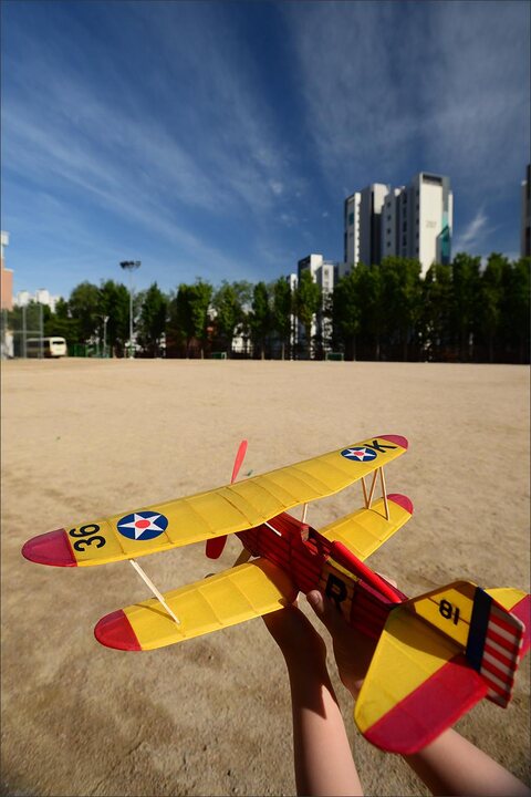 P6E Hawk 스케일 고무동력기