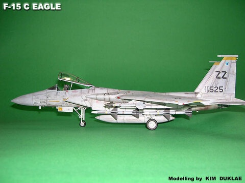 F-15 C EAGLE
