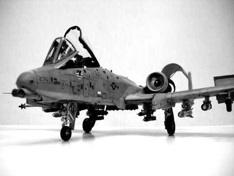 모노그람 A-10