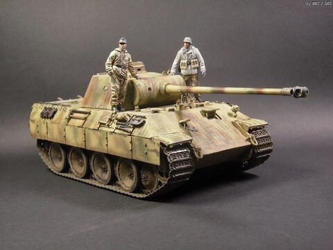 Panther D