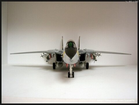 1/72 F-14A Tomcat VF-124 레벨社