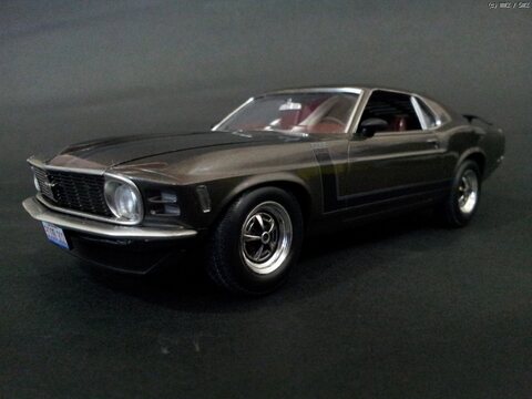 Revell 1/25 70' Boss Mustang