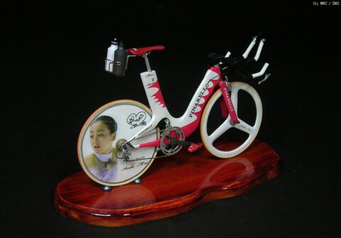 Time trail Road Cycle. PINARELLO PARIGINA