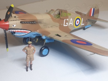 1/48 P-40  브롱코모델