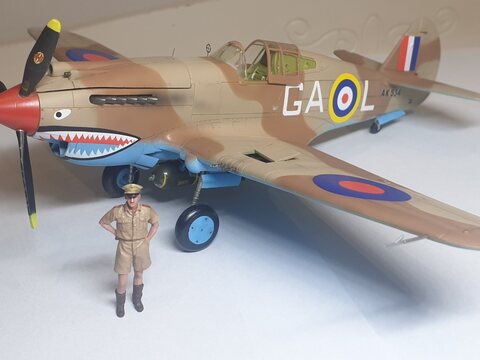 1/48 P-40  브롱코모델